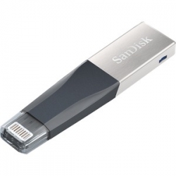 SanDisk IX4 64Gb iXpand Mini Flash Drive (SDIX40N-064G-GN6NN)