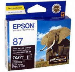 Epson T0871 Photo Black Ink Cartridge R1900 C13t087190