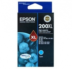 Epson High Capacity Durabrite Ultra Cyan Ink C13t201292