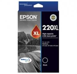 Epson T294192 High Capacity Durabrite Ultra Black Ink (epson Workforce Wf-2630, Wf-2650, Wf-2660)