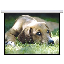 Brateck Electric Projector Screen 2.0x1.5m (4:3 Ratio) With Remote Control Psac100