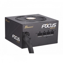 Seasonic 550W Focus Gold Psu (Ssr-550Fm) Gm-550 (Oneseasonic) Psusea550Fm1