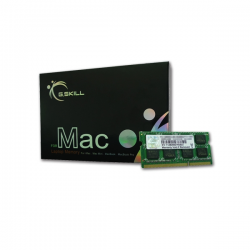 G.skill Ddr3-1333 Mac Sodimm 4gb [sq] Fa-10666cl9s-4gbsq Gs-fa-10666cl9s-4gbsq