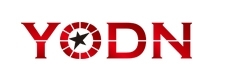Yodn Msd 300 R15 Equivalent (Philips Msd Platinum 15 R 300W) Msd 300 R15
