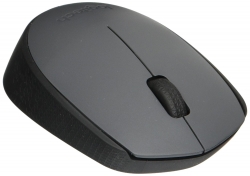 Logitech 910-004655: Logitech M171 Grey Wireless Mouse Logmosm171gy