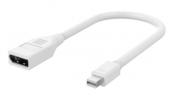 Blupeak Mini Displayport Male To Displayport Female Adapter (Lifetime Warranty) Mddpad