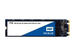 Western Digital Blue 3d Nand Ssd M.2 Form Factor Sata Interface 1tb Cssd Platform 3yr Warranty